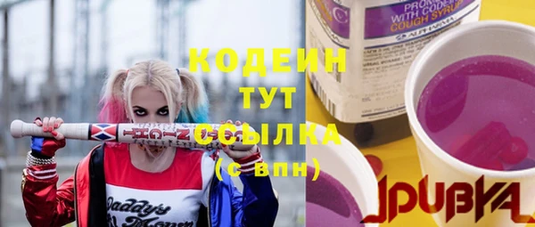 сатива Козловка