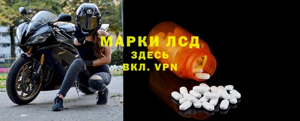 сатива Козловка