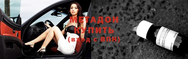 сатива Козловка