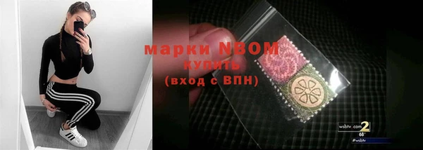 сатива Козловка