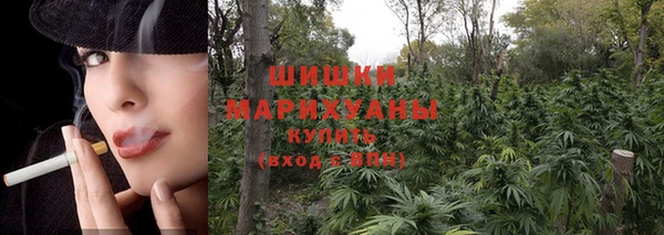 дурь Кодинск